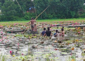 গাজীপুরে শাপলা বিলে ‘টিকটক’: নৌকা ডুবে দুজনের মৃত্যু