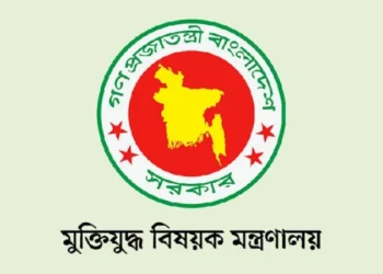ভুয়া জুলাইযোদ্ধা বাদ, আইনানুগ ব্যবস্থা