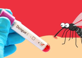 চলতি বছরে ডেঙ্গুর বলি ২০০ জন