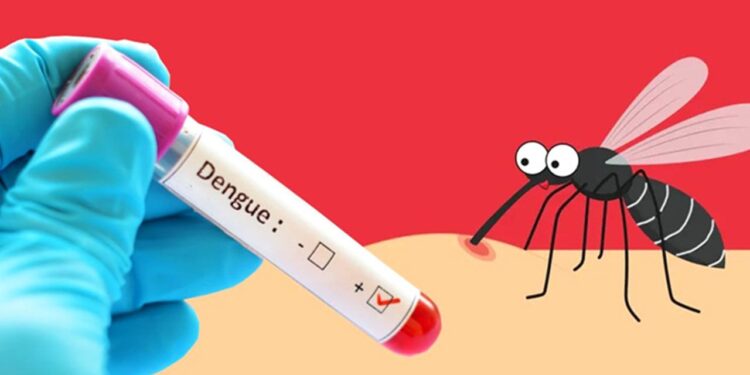 চলতি বছরে ডেঙ্গুর বলি ২০০ জন