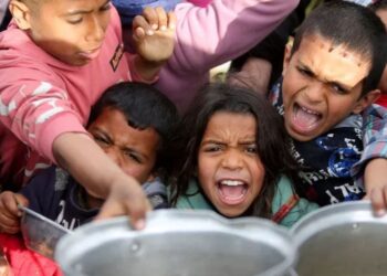 যুদ্ধবিরতির পরও তীব্র খাদ্য সংকটে গাজা