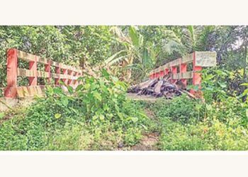 সাবেক সচিবের গাড়িচালকের পুকুরে ঢোকার জন্য ৩১ লাখ টাকায় সেতু নির্মাণ