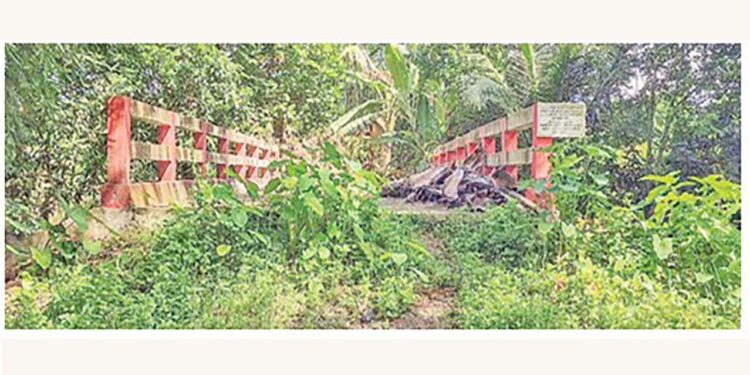 সাবেক সচিবের গাড়িচালকের পুকুরে ঢোকার জন্য ৩১ লাখ টাকায় সেতু নির্মাণ