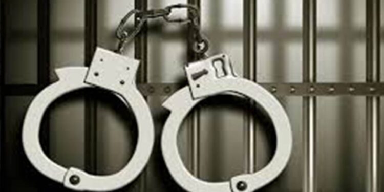 ককটেল বিস্ফোরণ ঘটনায় ছাত্রলীগ সদস্য গ্রেপ্তার