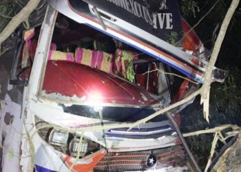 আ লীগ গোপালগঞ্জে গাছ ফেলে মহাসড়ক অবরোধ করল