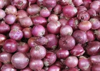 আমদানির খবরে বড় পতন পেঁয়াজের দামে