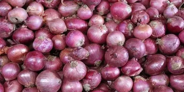 আমদানির খবরে বড় পতন পেঁয়াজের দামে