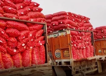 ভারত দিয়ে পেঁয়াজ আমদানি শুরু, বাজারে দাম কমার ইঙ্গিত