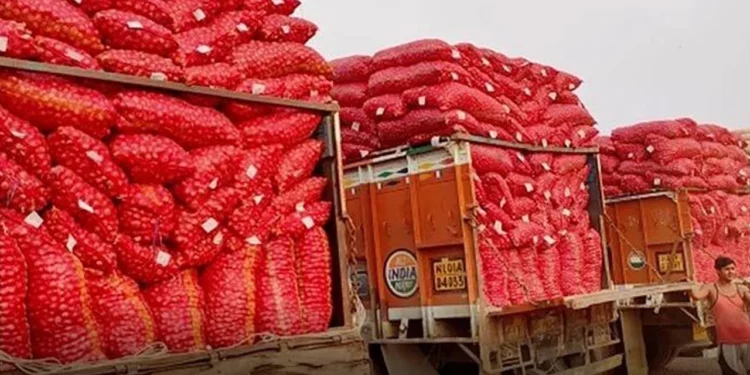 ভারত দিয়ে পেঁয়াজ আমদানি শুরু, বাজারে দাম কমার ইঙ্গিত