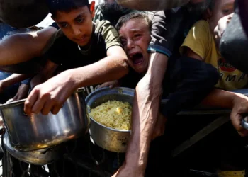 গাজায় ১৬ লাখ মানুষ তীব্র খাদ্য সংকটে: জাতিসংঘ