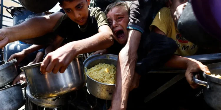 গাজায় ১৬ লাখ মানুষ তীব্র খাদ্য সংকটে: জাতিসংঘ