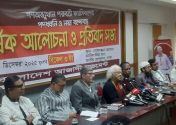 নির্বাচনি ইশতেহারে বৈদেশিক নীতি স্পষ্ট করতে হবে: দিলারা চৌধুরী