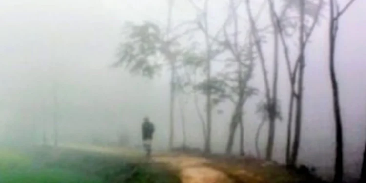 তাপমাত্রা কমার সঙ্গে সঙ্গে শীতের তীব্রতা বাড়ার পূর্বাভাস