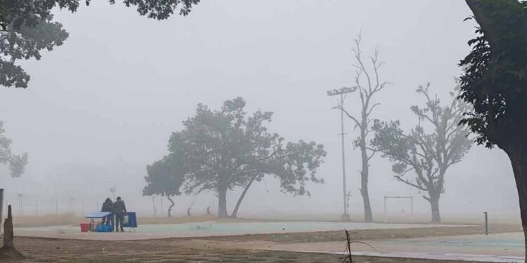 শৈত্যপ্রবাহে কাঁপছে দেশ, আজ তাপমাত্রা নামতে পারে ৭ ডিগ্রিতে