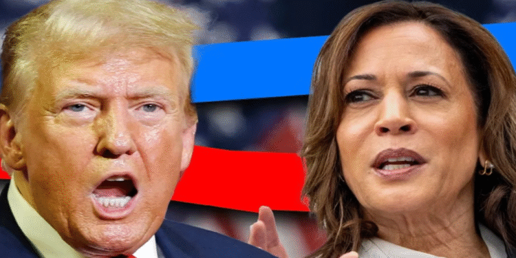 মাদক বা গণতন্ত্র নয়, তেলের জন্য ভেনেজুয়েলায় ট্রাম্পের হামলা: কমলা হ্যারিস