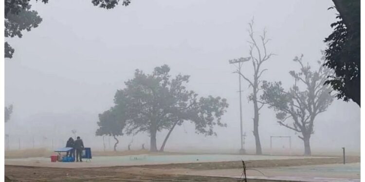 ২৪ জেলায় শৈত্যপ্রবাহ অব্যাহত থাকবে