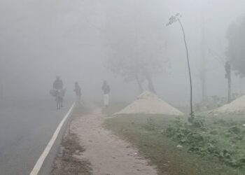 আগামী ৫ দিন শীত কেমন থাকবে, জানাল আবহাওয়া অফিস