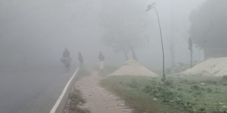 আগামী ৫ দিন শীত কেমন থাকবে, জানাল আবহাওয়া অফিস