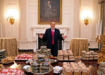 ট্রাম্পের ‘বোর্ড অব পিস’-এ স্থায়ী আসন পেতে দিতে হবে ১ বিলিয়ন ডলার