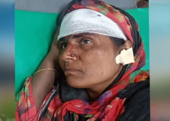 ধানের শীষের ভোট না চাওয়ায় নারীর মাথা ফাটালো যুবদল নেতা