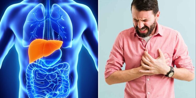 ফ্যাটি লিভার থেকে কেন ক্যানসার হওয়ার ঝুঁকি তৈরি হয়?