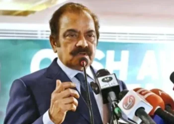 পাকিস্তানকে বাংলাদেশের পাশে দাঁড়াতে বললেন সানাউল্লাহ