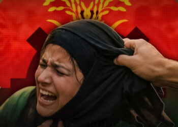 ছয় জেলায় জামায়াতের নারী কর্মীদের প্রচারণায় বিএনপির হামলা, প্রশাসনের ভূমিকা দাবি