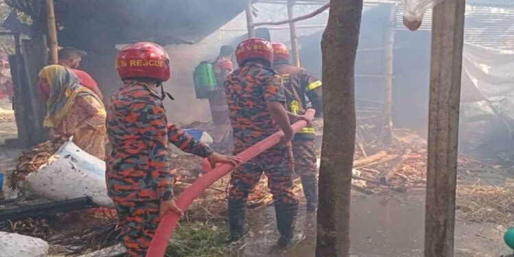 জামিনে বেরিয়েই বাদীর বাড়িতে অগ্নিসংযোগ ও হামলা, আহত ৭