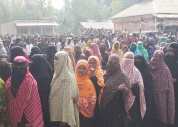 শেরপুরে ব্যালট ছিনতাই, উদ্ধারের পর ইউএনও বললেন—‘কিছু ব্যালটে ধানের শীষের সিল’