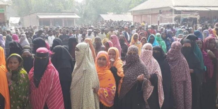 শেরপুরে ব্যালট ছিনতাই, উদ্ধারের পর ইউএনও বললেন—‘কিছু ব্যালটে ধানের শীষের সিল’