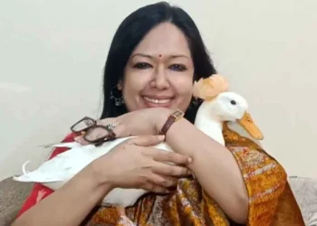 হাঁস কোলে নিয়ে সংবাদ সম্মেলনে রুমিন ফারহানা