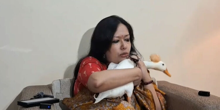 আওয়ামী লীগের ছায়া তো কিছু কিছু এখনই দেখতে পাচ্ছি: রুমিন ফারহানা