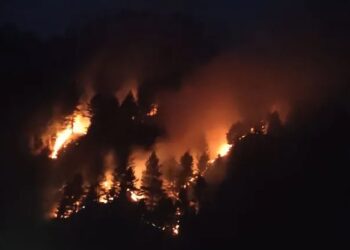 দাবানলে পুড়ছে ভারতের অরুণাচল-নাগাল্যান্ড