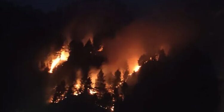 দাবানলে পুড়ছে ভারতের অরুণাচল-নাগাল্যান্ড