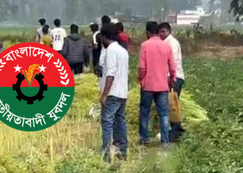 কৃষকের সরিষাখেত কেটে ফেলার অভিযোগ যুবদল নেতার বিরুদ্ধে