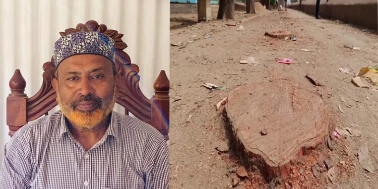 বিএনপি নেতার গাড়ি প্রবেশের সুবিধার্থে বেড়িবাঁধের ২০টি গাছ কাটার অভিযোগ