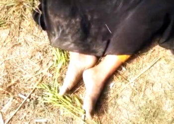 গণধর্ষণের শিকার তরুণীকে বাবার সামনে থেকে তুলে নিয়ে হত্যা!