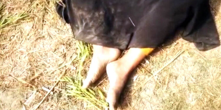 গণধর্ষণের শিকার তরুণীকে বাবার সামনে থেকে তুলে নিয়ে হত্যা!