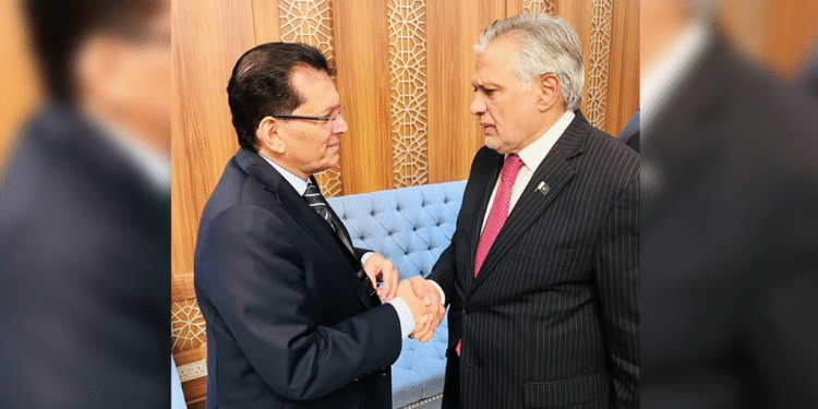 পাক পররাষ্ট্রমন্ত্রীর সঙ্গে খলিলুর রহমানের সাক্ষাৎ, ঢাকা সফরের অপেক্ষায় শাহবাজ