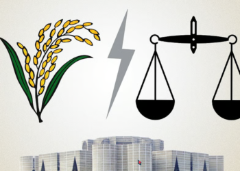 সরকার গঠন বিএনপির, পোস্টাল ভোটে শীর্ষে জামায়াতের দাঁড়িপাল্লা