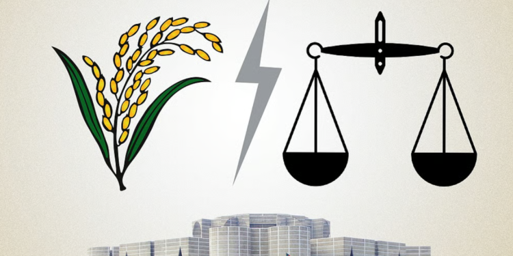 সরকার গঠন বিএনপির, পোস্টাল ভোটে শীর্ষে জামায়াতের দাঁড়িপাল্লা