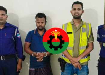 গরু চুরির অভিযোগে বিএনপি নেতা গ্রেফতার