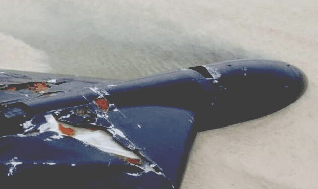 ইরানি শাহেদ ড্রোনের মার্কিন ‘ক্লোন’ ভূপাতিত: দক্ষিণ-পূর্বাঞ্চলে ড্রোন নামানোর দাবি তেহরানের