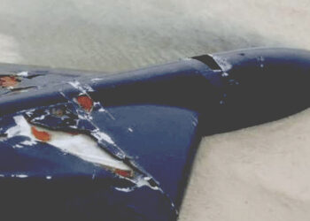 ইরানি শাহেদ ড্রোনের মার্কিন ‘ক্লোন’ ভূপাতিত: দক্ষিণ-পূর্বাঞ্চলে ড্রোন নামানোর দাবি তেহরানের