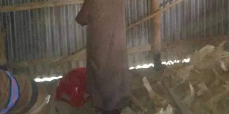 রংপুরে স্বামীকে অণ্ডকোষ চেপে হত্যার পর ফাঁসিতে ঝুলালেন স্ত্রী