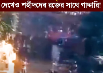 এত লাশ, এত রক্ত, এত নৃশংসতা, এত বর্বরতা দেখেও শহীদদের রক্তের সাথে গাদ্দারি!