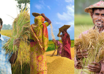 পহেলা বৈশাখ নয়, বাঙালির আদি নববর্ষ ছিল ‘পহেলা অগ্রহায়ণ’