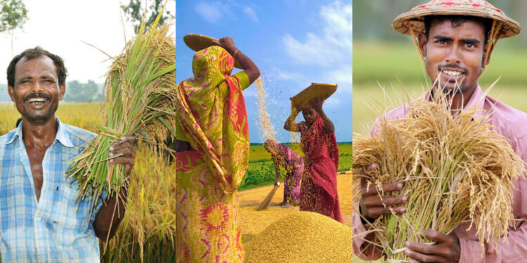 পহেলা বৈশাখ নয়, বাঙালির আদি নববর্ষ ছিল ‘পহেলা অগ্রহায়ণ’