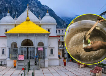 গোমূত্রসহ ‘পঞ্চগব্য’ পান বাধ্যতামূলক করলো ভারতের গঙ্গোত্রী মন্দির