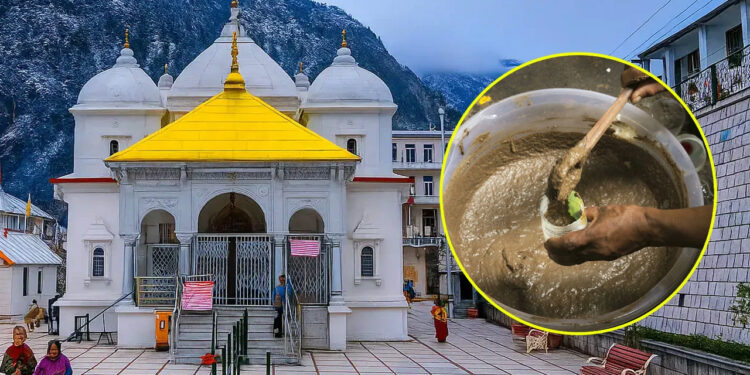 গোমূত্রসহ ‘পঞ্চগব্য’ পান বাধ্যতামূলক করলো ভারতের গঙ্গোত্রী মন্দির